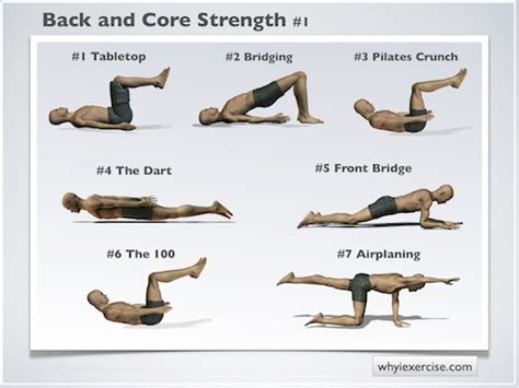 back exervise|back strengthening exercises.
